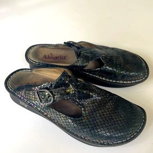 Alegria Slip on shoes